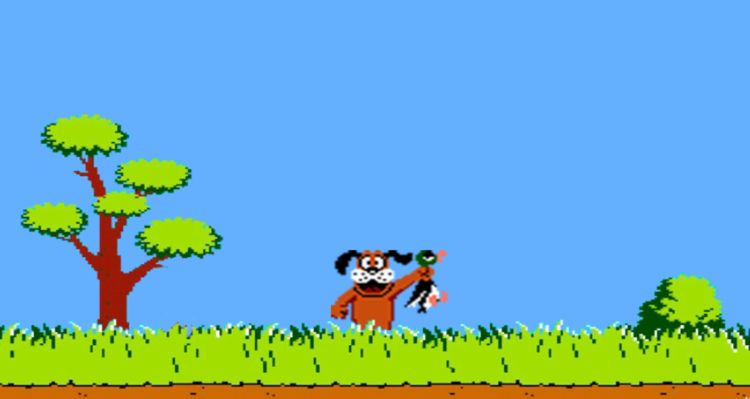 Duck Hunt